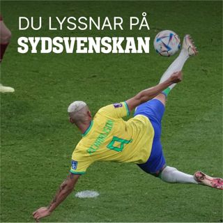 Brandão Jönsson: ”Fotbollen håller på att ena Brasilien”