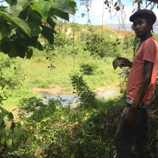 FN spred kolera på Haiti – hur ska smittan stoppas?