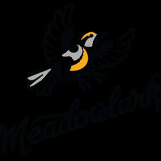Ep. 177 - Travis Peterson & Tim Schnars of Meadowlark Brewing