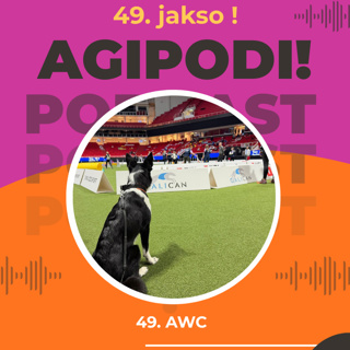 49. AWC 2026