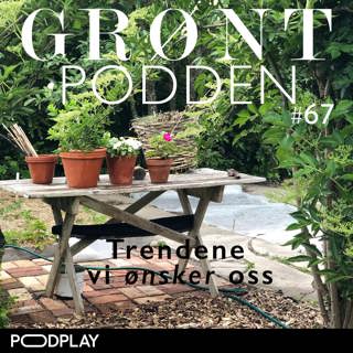 #67 Trendene vi ønsker oss