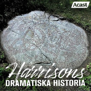 De magiska runstenarna