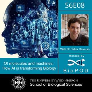 Of molecules and machines: How AI is transforming Biology