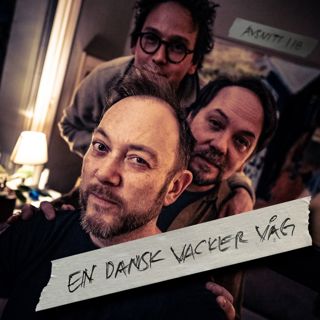 118: En dansk vacker våg