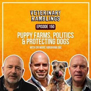 Puppy Farms, Politics & Protecting Dogs with Dr. Marc Abraham