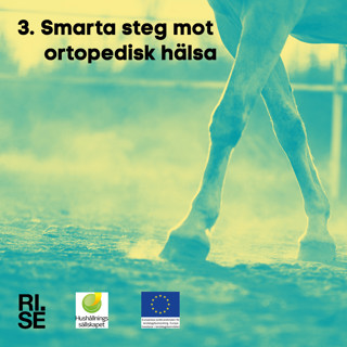 Smarta steg mot ortopedisk hälsa