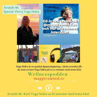 Avsnitt 46 (special ) En kort Yoga Nidra tema höst