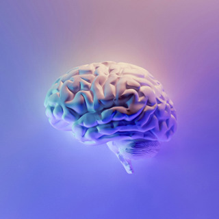 Research on meditation: Meditation_ Brain Responses and Stress Reduction