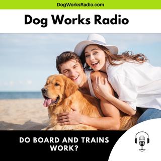 Do Board and Train Programs Actually Work? The Truth Every Dog Owner Should Know