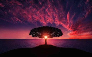 Sleep Talk-Down, Fall Asleep Fast Into a Deep Dream State, Guided Sleep Meditation With Sleep Music