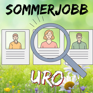 14 sommerjobb