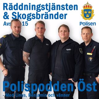 15. Räddningstjänsten om skogsbränder och andra uppdrag