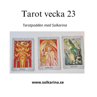64: Tarotbudskap vecka 23