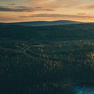 The Decline of the Baltic salmon