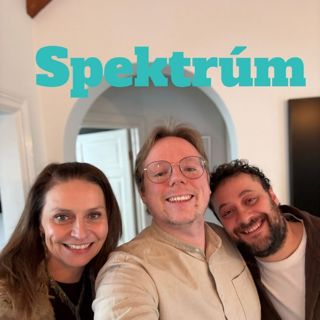 Spektrúm: Ásdis Kristjánsdóttir vill að ég fari i messu