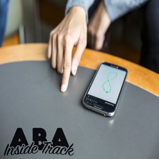 Episode 27 - Stereotypy as Reinforcement