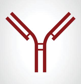 Episode 4: COVID-19 Mini-series -  A Brief Overview of Monoclonal Antibodies