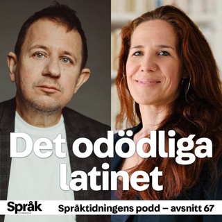 Det odödliga latinet – Språktidningens podd: avsnitt 67