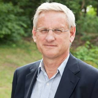 Carl Bildt 2011