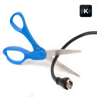 Cable TV -- you love it, you hate it, but are you ready to give it up?