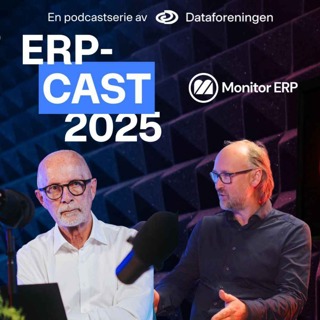 Hvordan har Monitor oppnådd suksess i det norske markedet for ERP-løsninger?