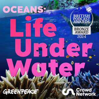 Introducing...Oceans: Life Under Water
