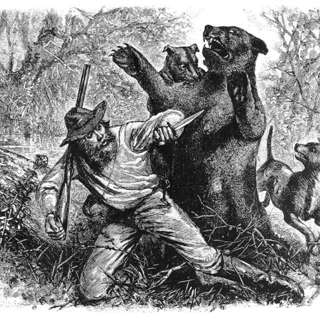The Wild Cards Grin and Bear It