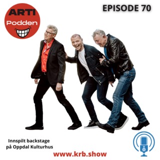 070 Artipodden