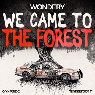 NEW SERIES: We Came to the Forest