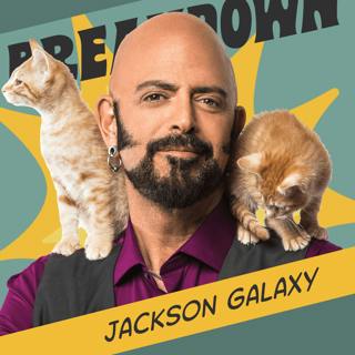Jackson Galaxy: Emotional Guardrails, Language of Empathy & The Social Anxiety Corner
