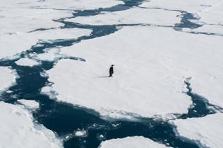 Can evolution keep up with humanity?