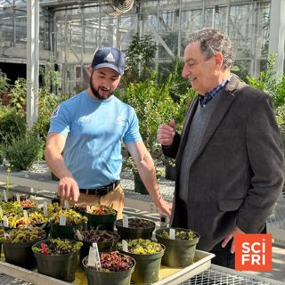 Botanical Rescue Centers Take In Illegally Trafficked Plants