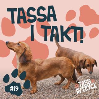 Tassa i takt – dags för taxparaden!