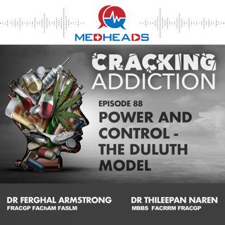 Power and  Control - The Duluth  Model