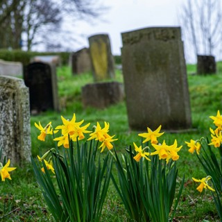 UNFINISHED LOVE - All Souls Day - 11-2-25