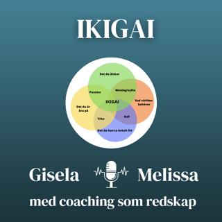 IKIGAI - ditt syfte, mål, mening = alltså ditt varför
