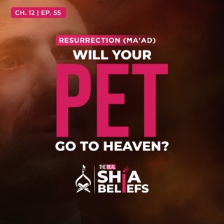 12/55: Will Animals Go to Heaven? | The Real Shia Beliefs