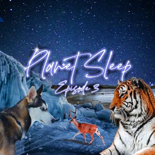 4: A Starry Night Over Siberia