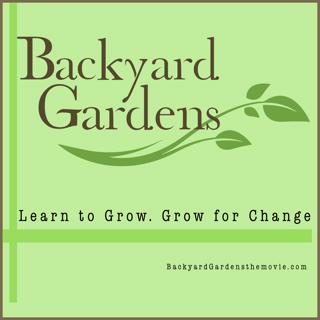 How to START seeds with San Diego Seed Company
