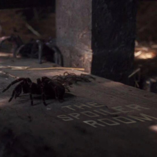 Arachnophobia (1990) - "All Legs" Month