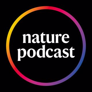 07 November 2019: The fossil of an upright ape, science in 150 years, and immunization progress around the world