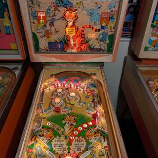 Episode #101: Bally Safari! New Pool Rules! Another Goddamn Hobby?