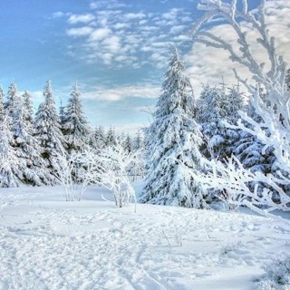 #088 Vinter-wellness – 14 steg till välmående under vintern