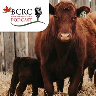 Episode 102: Calf Health Management Practices - What Does the Science Say?