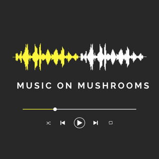 7. Connecting with your Muse: Creative Living for Classical Musicians