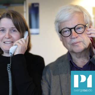 Allt du vill veta om Nato – panelen svarar på lyssnarnas frågor