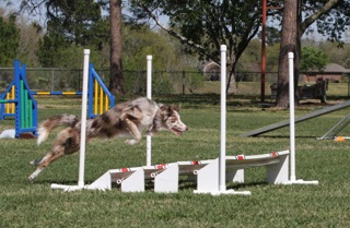115: Three Aspects of Agility Training