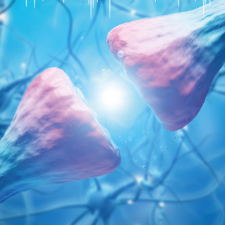 Are Amyloid Peptides Potential Therapeutics for Sepsis?