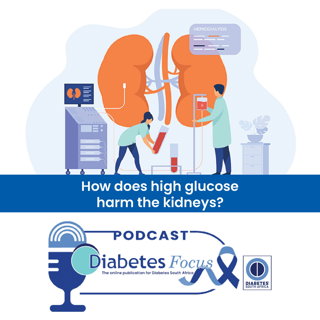 How does high glucose harm the kidneys?