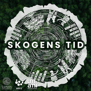 Skogens tid: Ekonomisk tid